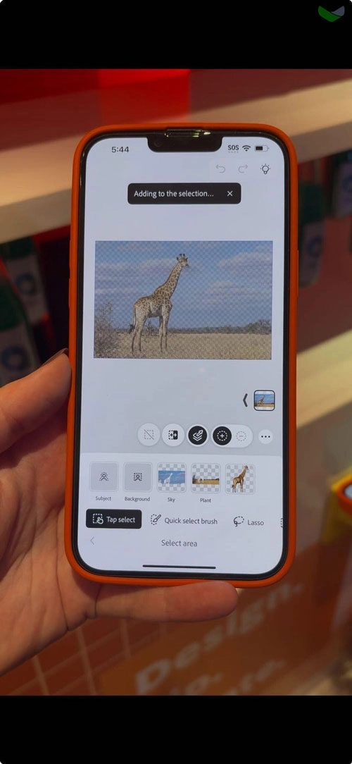 Photoshop chính thức có mặt trên iPhone với gói miễn phí và Premium